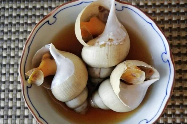 ばいの煮もの（ばいのにもの）