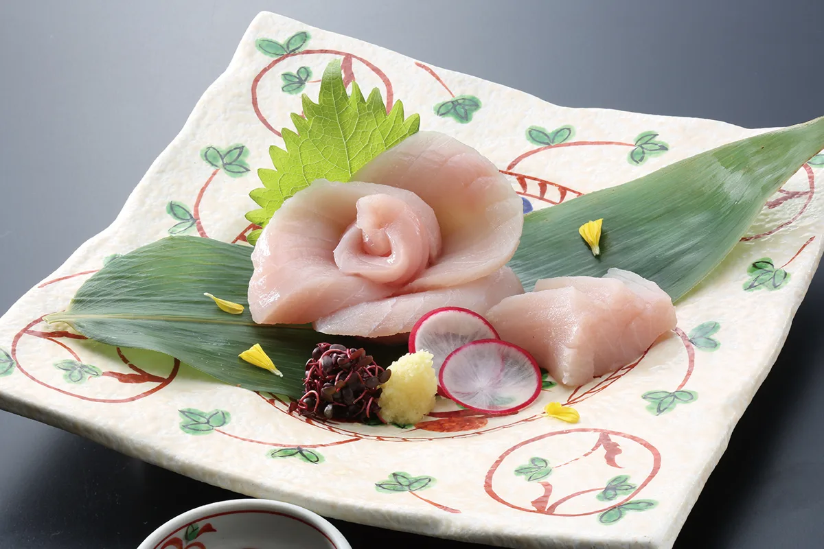ワニの刺身（わにのさしみ）