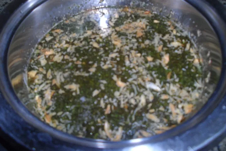 Molokhia