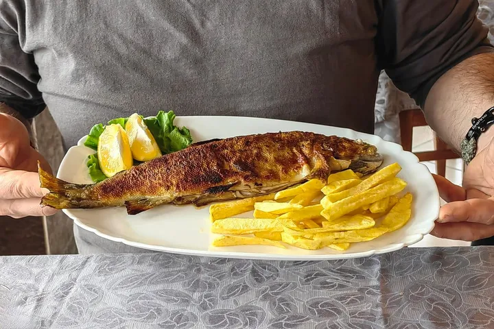 Ohrid trout